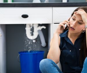 About Emergency plumbing pros Bow, WA